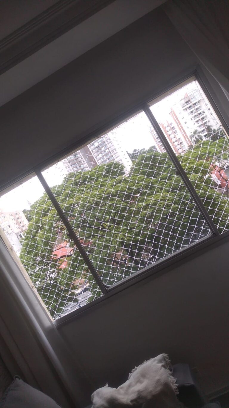Rede - 12